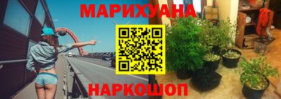 крисы Тулун